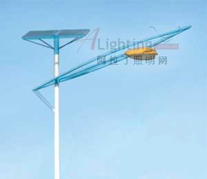 太陽(yáng)能路燈無(wú)罪負(fù)荊為節(jié)能(組圖)