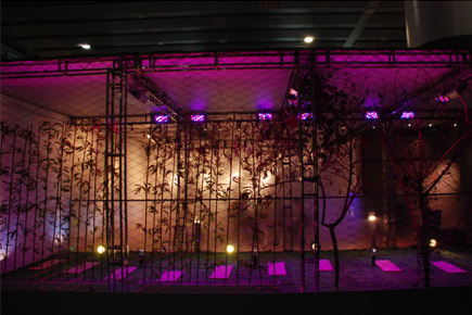 ���ʟ�����ҕ�lչ��